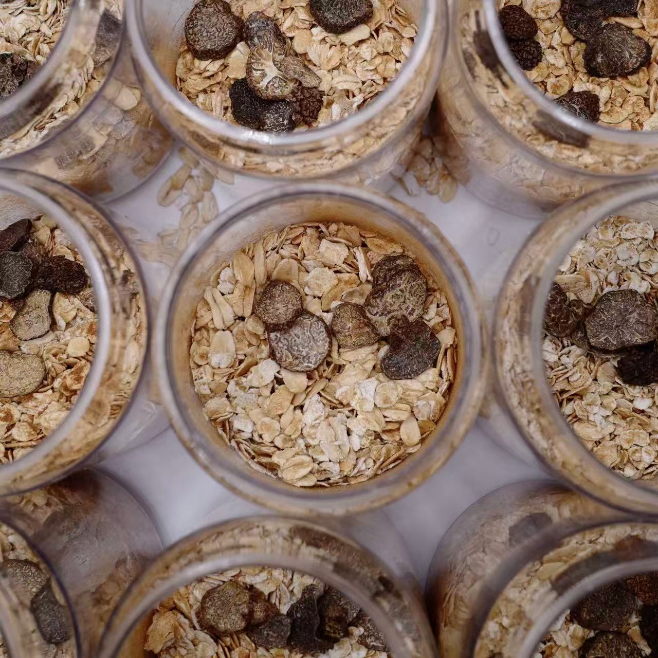 TrufOat | Overnight Truffle Oat